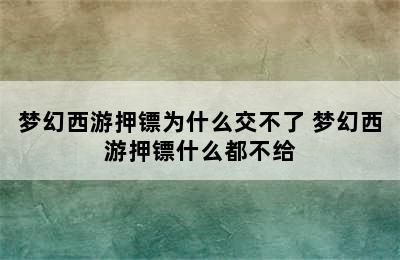 梦幻西游押镖为什么交不了 梦幻西游押镖什么都不给